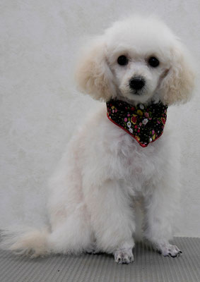 梶原ユキちゃん