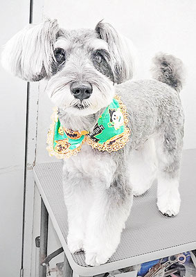 糸山そらちゃん