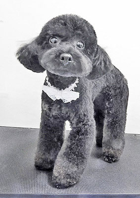 野口サニーちゃん