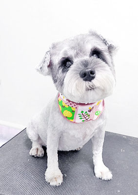 新田つむぎちゃん