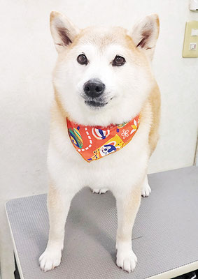 川﨑すももちゃん