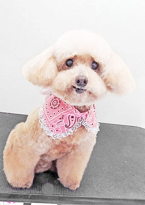 福田ダイアリーちゃん