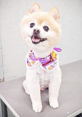 徳留クマちゃん