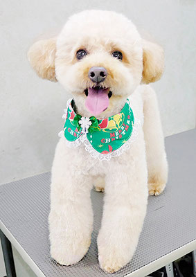 藤久保くうたちゃん