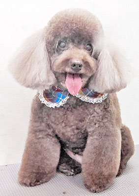 山口クレアちゃん