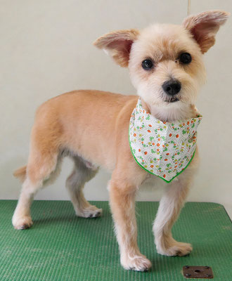 上山英斗ちゃん