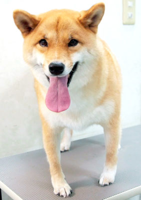 森崎アズキちゃん