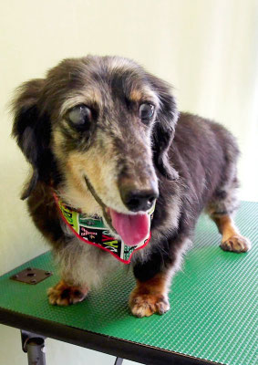 西山ユウちゃん