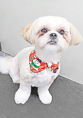 柳田モカちゃん