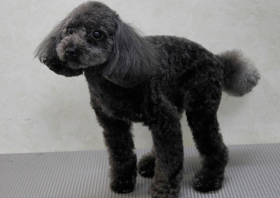 森崎ラブちゃん