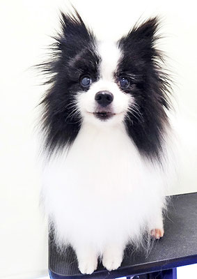 森崎マリアンちゃん