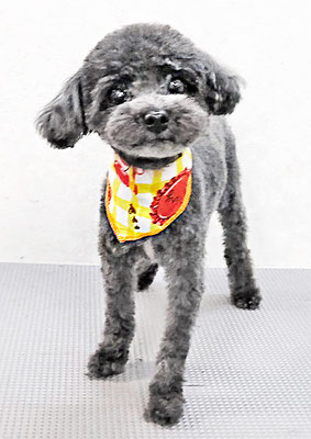 猿川チルちゃん