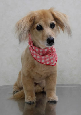 江口エルちゃん