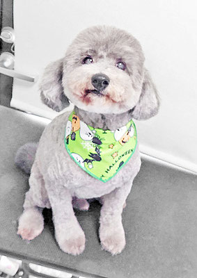 橋口最中ちゃん