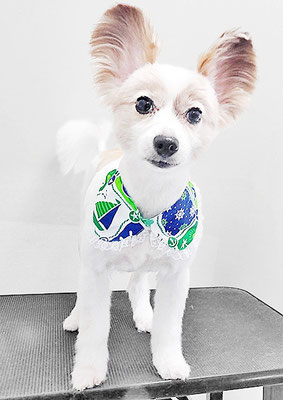 池田ラウルちゃん