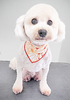 有村ルークちゃん