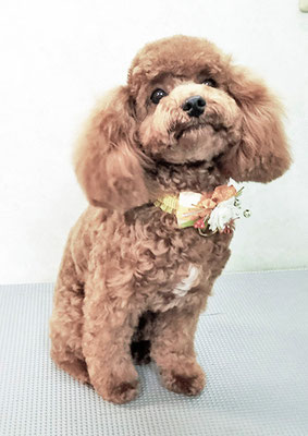 松下フクちゃん