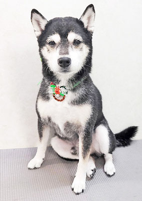 岩﨑レイちゃん