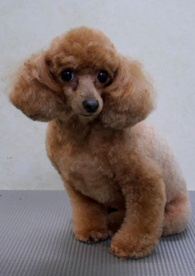 森崎ネネちゃん