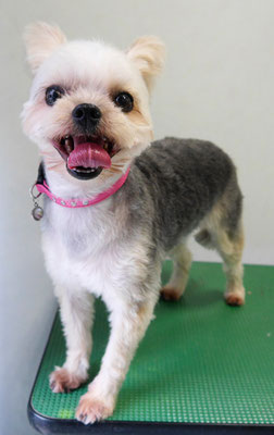 岡元ベリーちゃん