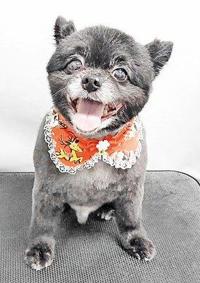 中村ウルルちゃん