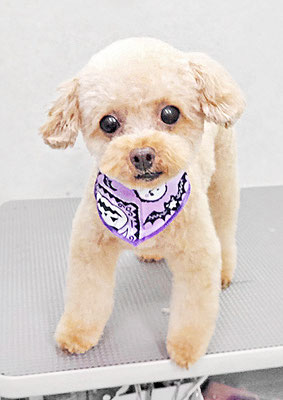 辻チロルちゃん