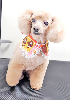 森崎ネネちゃん
