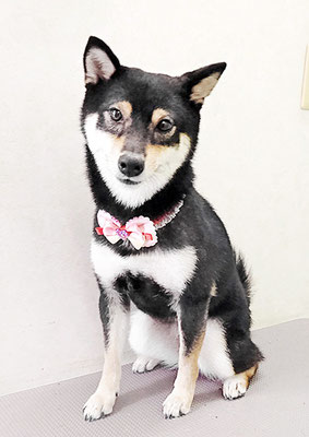 西元風子ちゃん