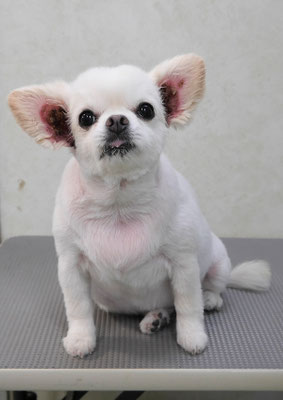 森崎ヒメちゃん