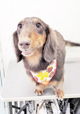 楠畑ルークちゃん