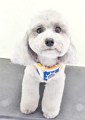 田中ロビンちゃん