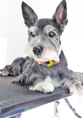 蔵薗ヒメちゃん