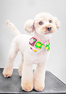 福島ベルちゃん