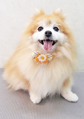 別府ろなちゃん