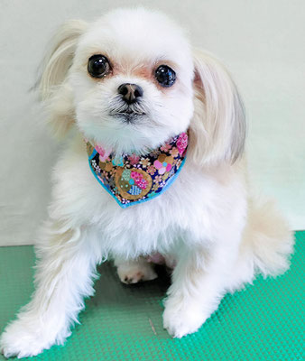 外城戸ルビーちゃん