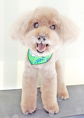 米澤ミントちゃん