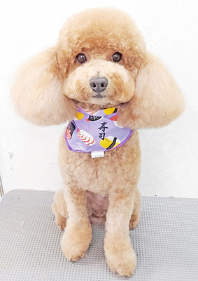 佐多ぶいちゃん