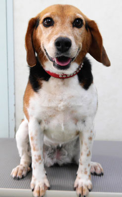 坂元ハナちゃん