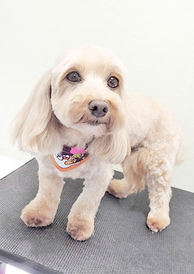 谷山ナナちゃん