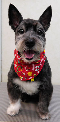 蔵薗ヒメちゃん