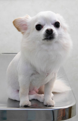 森崎ヒメちゃん