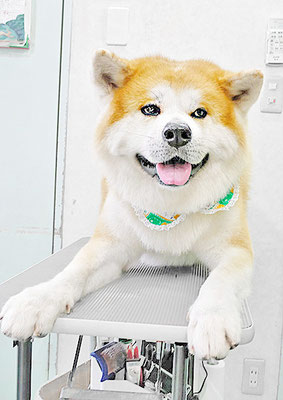 池川空ちゃん