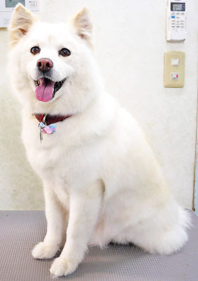 荻原ミルクちゃん