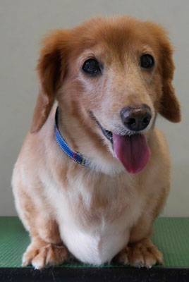 別府リンちゃん