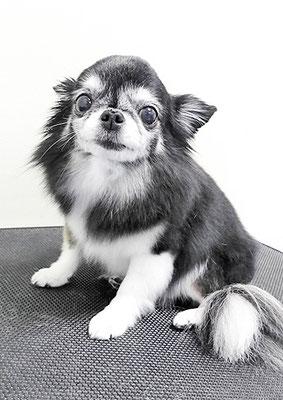 八木クロちゃん