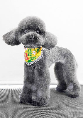 鈴木めめちゃん