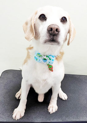 松木タロウちゃん