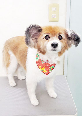 玉利ゆずちゃん