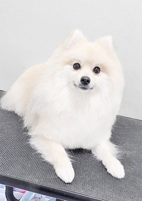 緒方サンちゃん