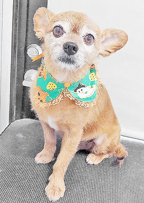 助村ルウちゃん